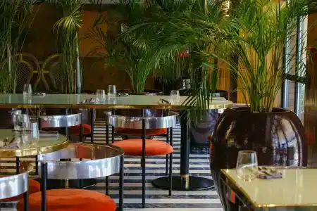 Bazzar Boutique - 65