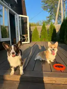 Треугольный стильный дом рядом с сыроварней - 12