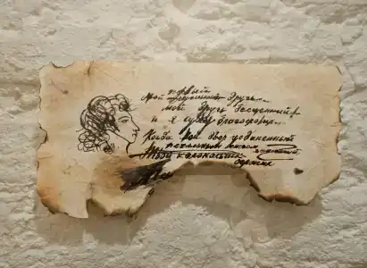 Пушка ИНН - 31