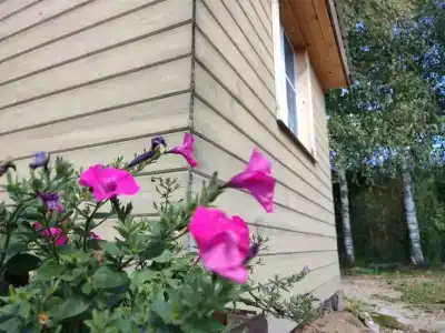 Тихий уголок - 40