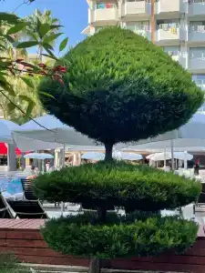 Aventura Park - Ultra All Inclusive - 42