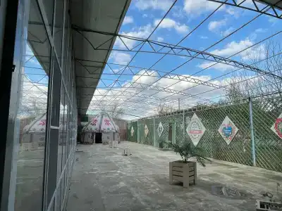 у Гульзары - 3