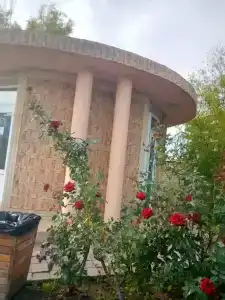 Глобус - 63