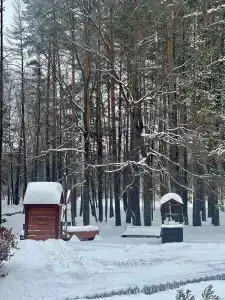 КАМАЗ Саулык - 41