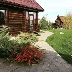 Серый Волк - 82