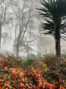 Хофмаршал - 27