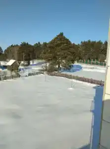 Сосновая Стрит - 16