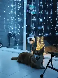 Дом в Карелии с видом на Ладогу - 68