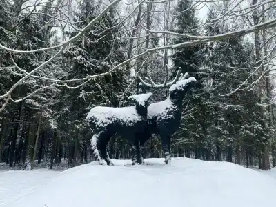 Подмосковье - 17