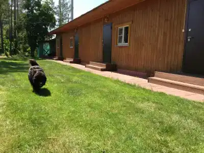 Час пик - 3