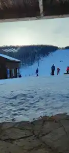 Долгий лог - 37