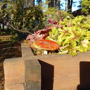 Энергетик - 71