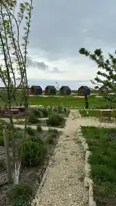 Фридом Веселовка - 37