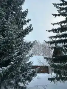 Новый ковчег - 30