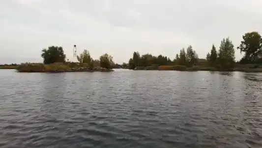 Свирицкая гавань - 20