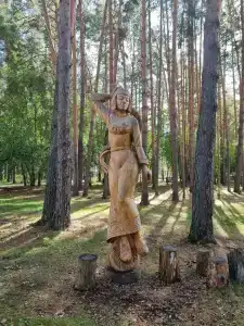 Тайга - 19