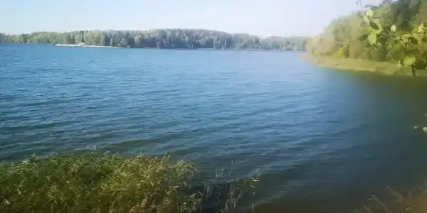 Лопотово - 92