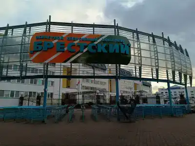 5 колец - 33