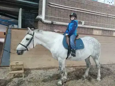 Звёздный - 77