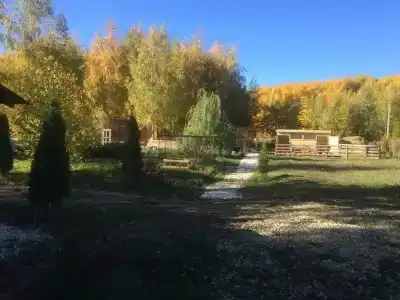 Мультиферма - 40