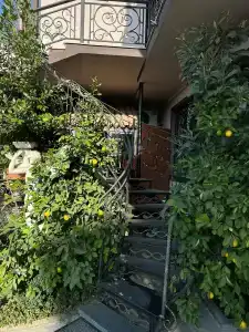 Сибирь - 14