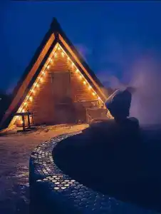 Форест чан - 1