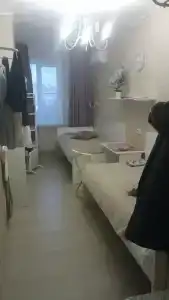 Крокус Стар - 41