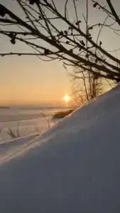 Сосновые дома - 44