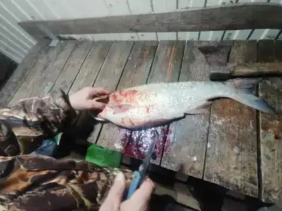 Рыбацкий приют - 49