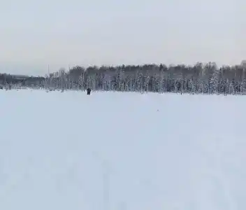 Сендега - 17