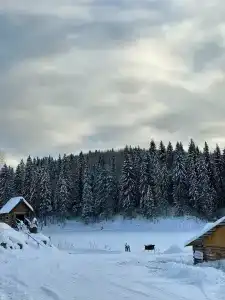 Родники - 4