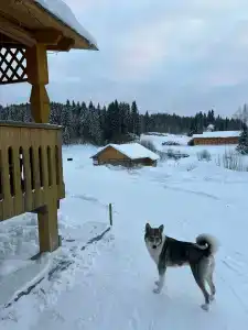 Родники - 11