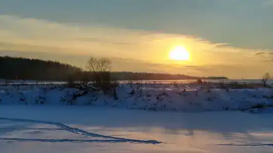 Мордвес - 99