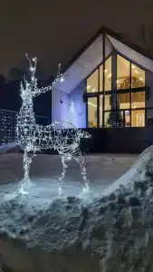 Барон Хаус - 4