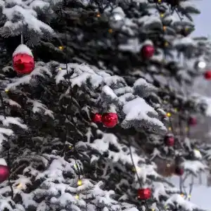 Суздальский Дворик - 35