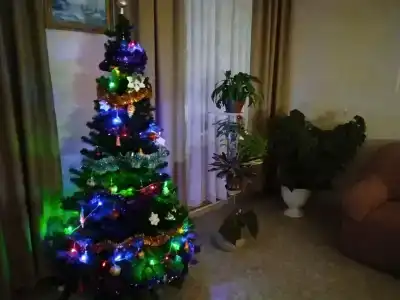 РОСТОДОСААФ - 73