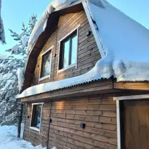 Магия леса - 73