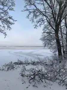 Краснолесье Точка - 68