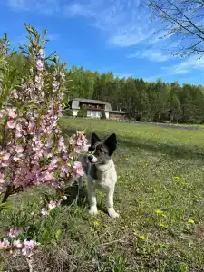 Заимка у Григорича - 18