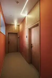 Пион - 7