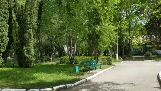 Красный Бор - 97