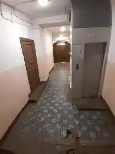 Тапки - 46