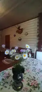 Гостевой дом на озере Стреглино - 40