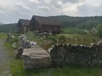Тайга - 80