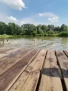 Голден Фиш - 34