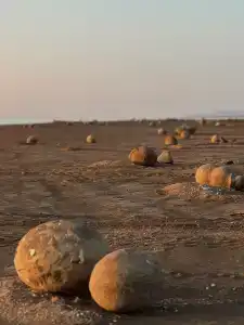 SOL beach house - 43