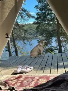 Karelia Love Glamping - 12