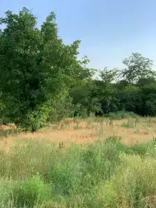 Серёжкино - 19