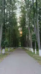 Городец - 18