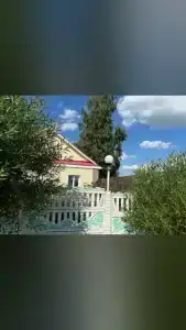 Лилия - 14